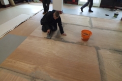 a4e76a805ead8cf500c171_2